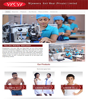 Web Designing services