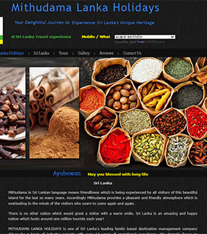 Web Designing services